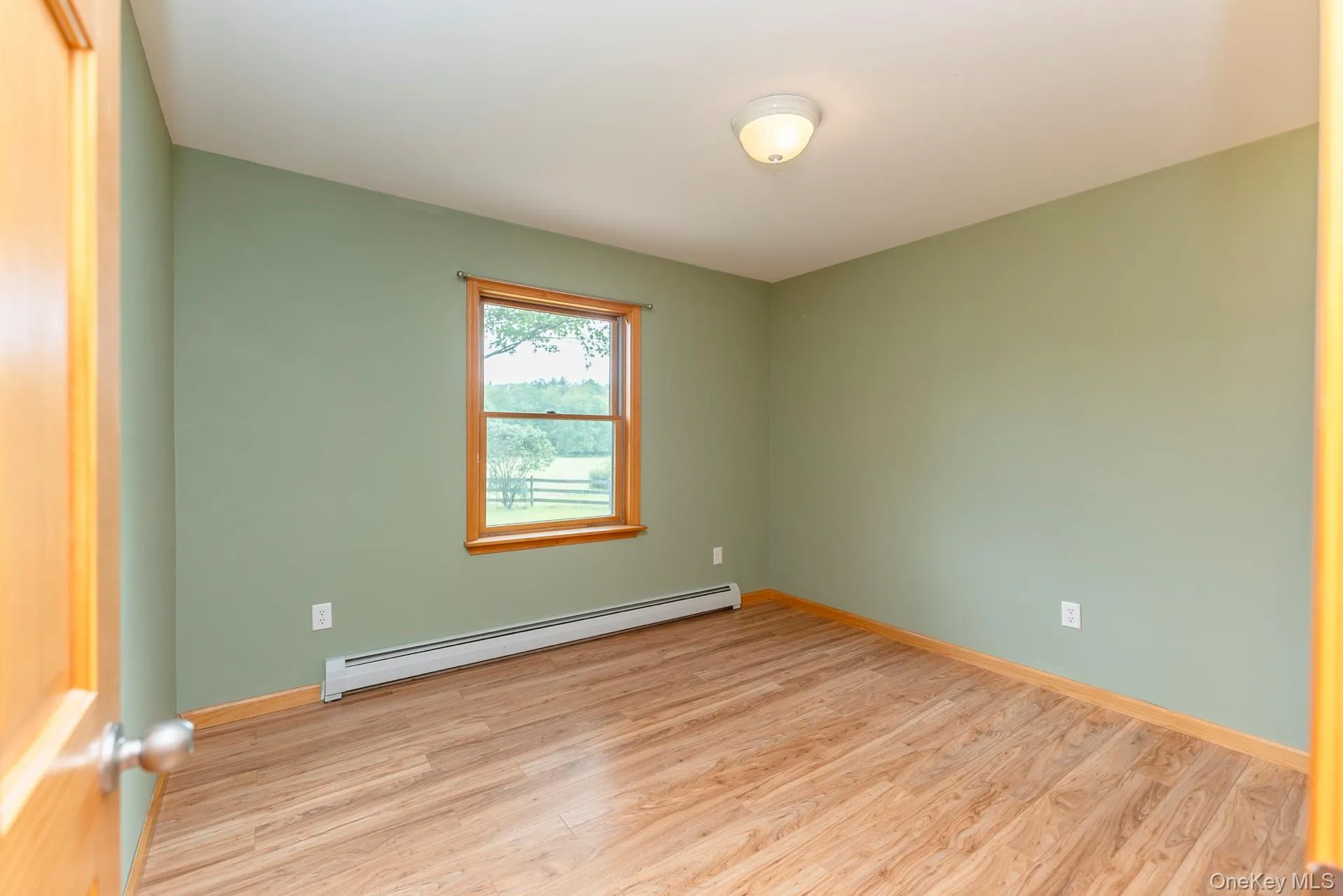 Spare room featuring a baseboard heating unit, light wood finished floors, and baseboards Spare room featuring a baseboard heating unit, light wood finished floors, and baseboards