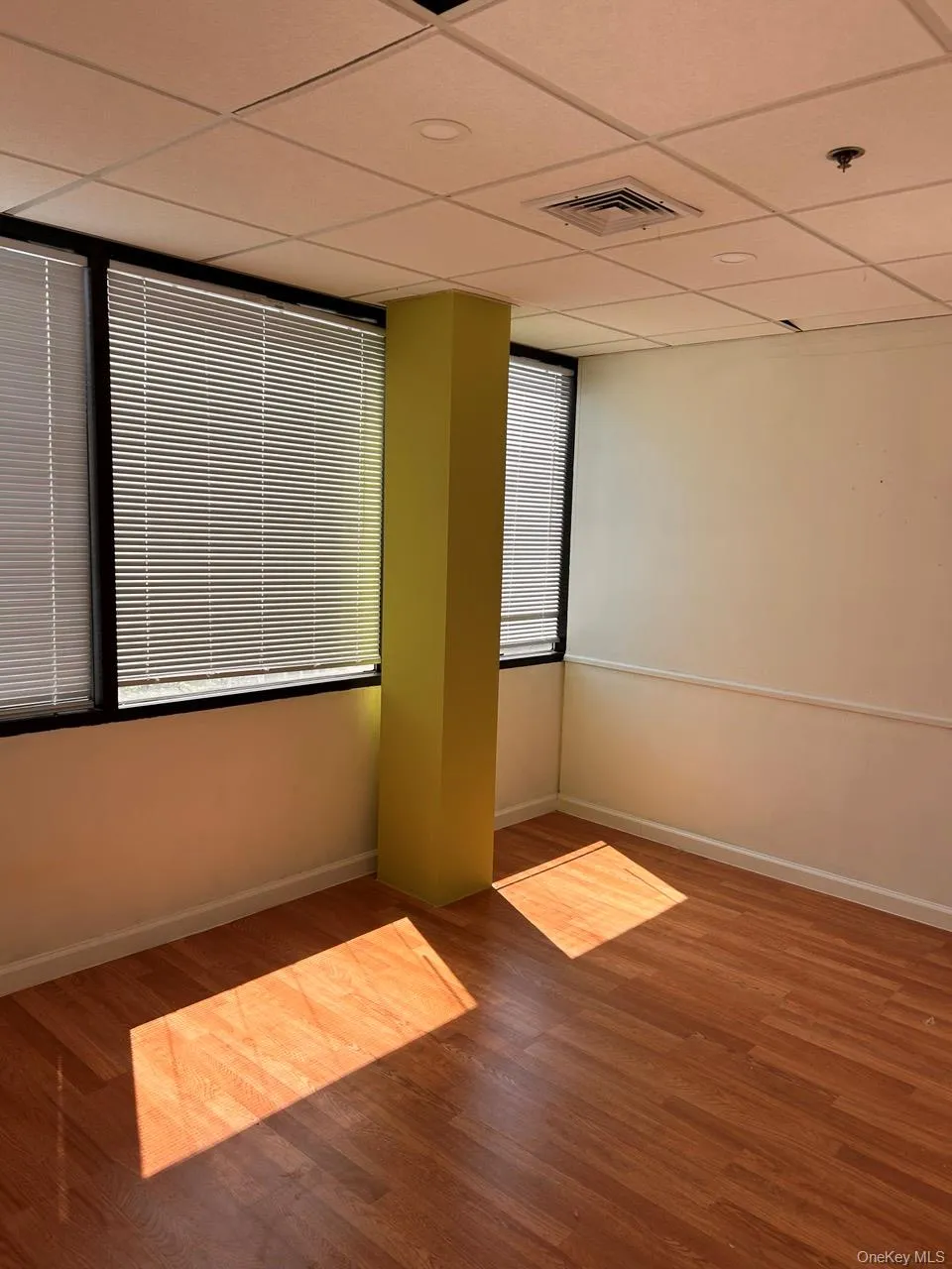Empty room featuring a paneled ceiling, wood finished floors, a pendent fire sprinkler, and baseboards Empty room featuring a paneled ceiling, wood finished floors, a pendent fire sprinkler, and baseboards