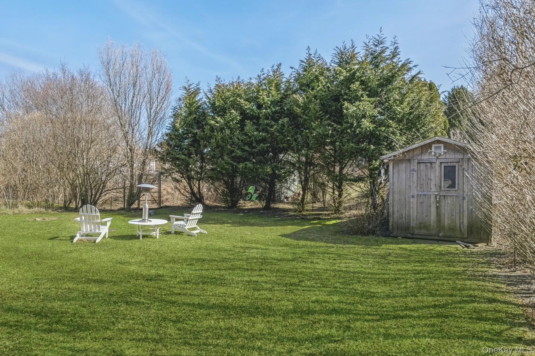 View of green lawn View of green lawn