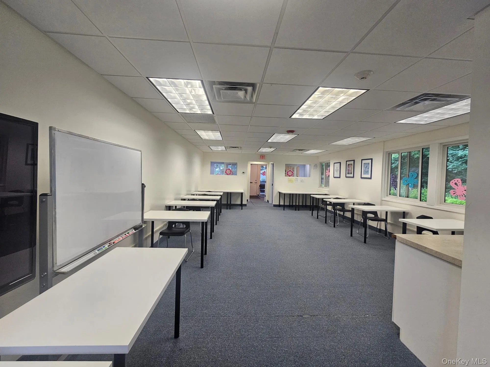 Misc room featuring carpet and a drop ceiling Misc room featuring carpet and a drop ceiling