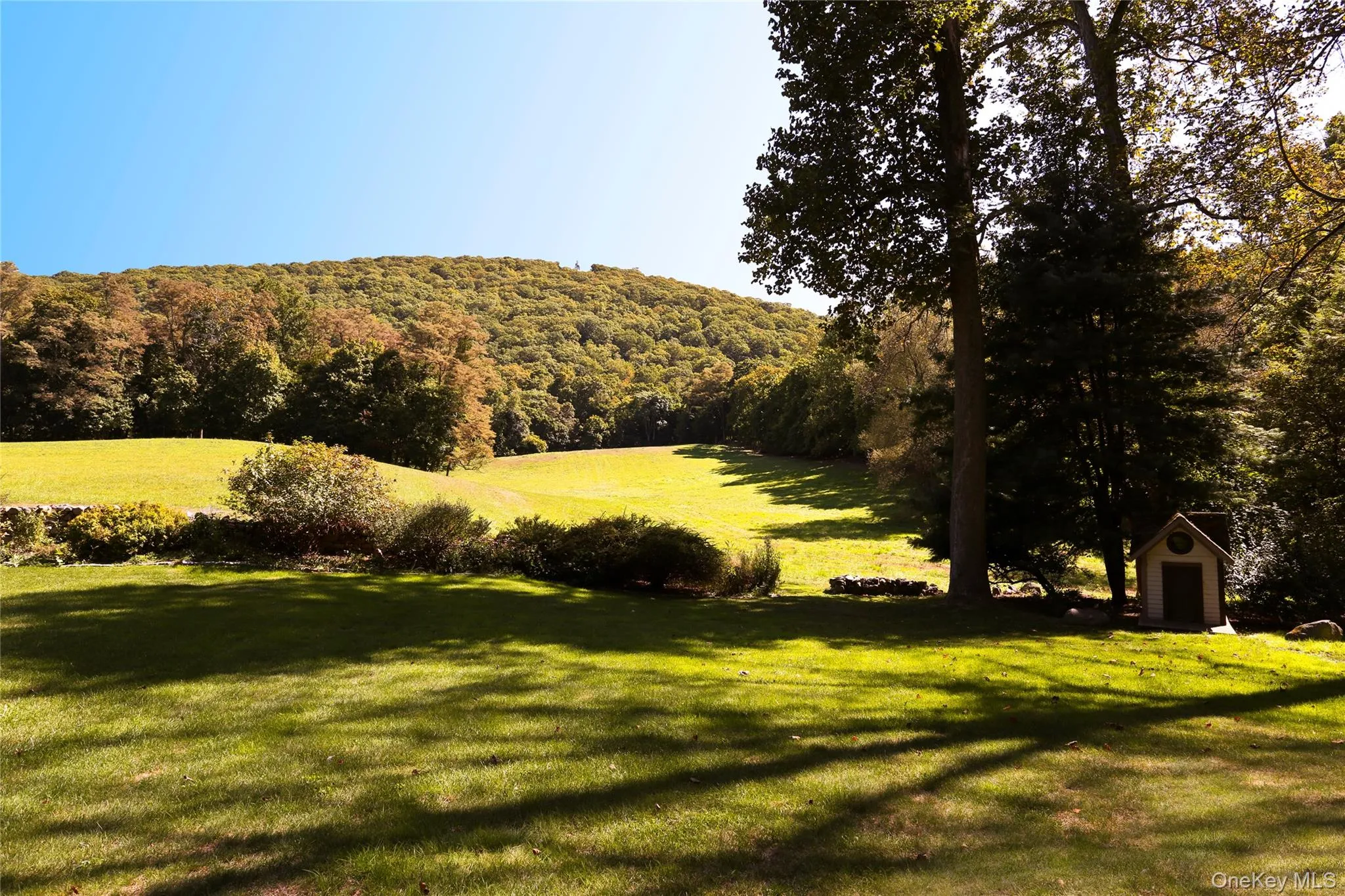 View of property's community with a yard and a forest view View of property's community with a yard and a forest view