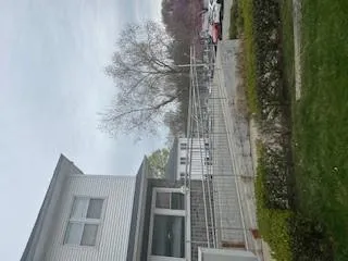 View of yard View of yard