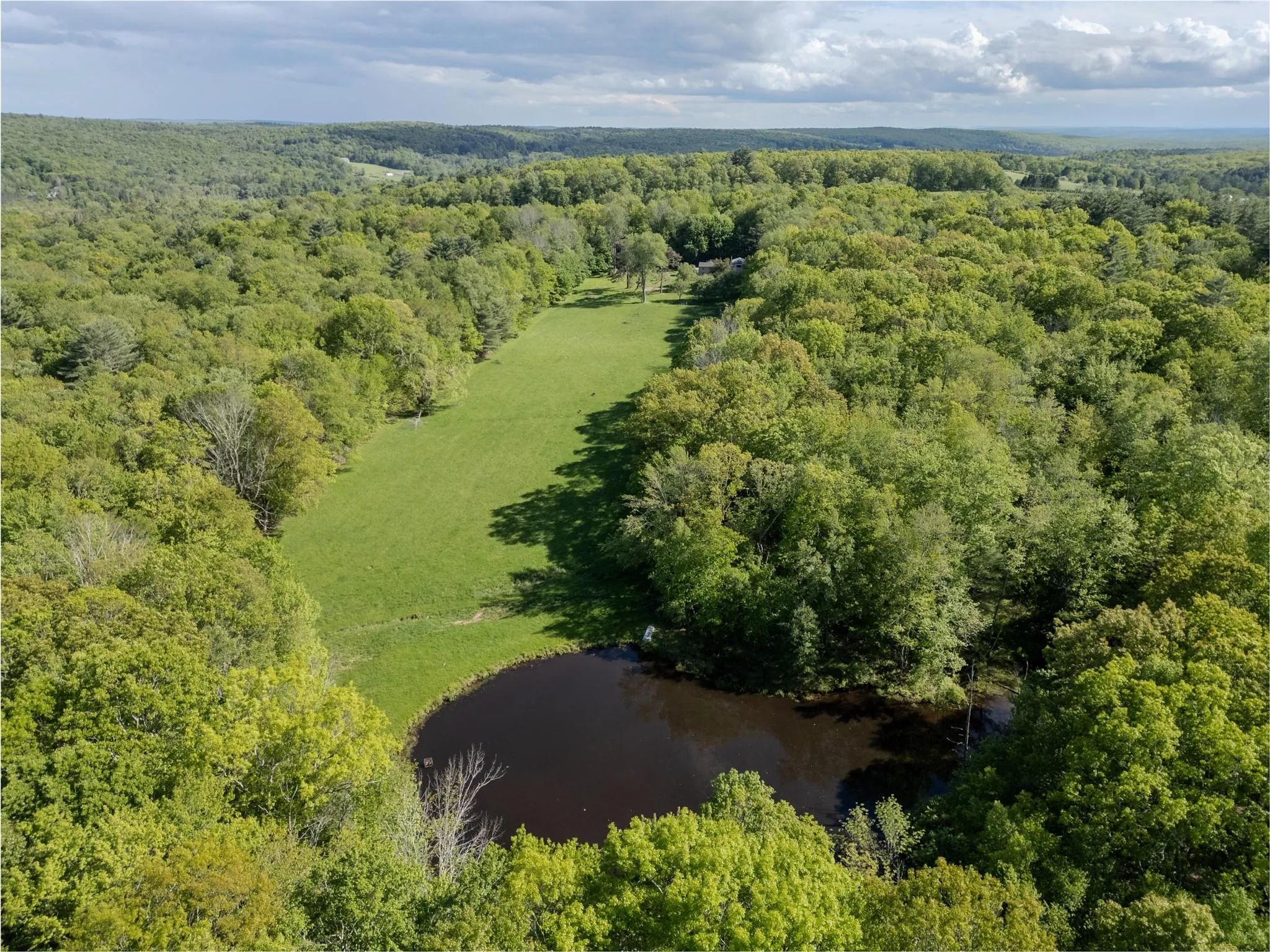 Aerial view of a forest and a nearby body of water Aerial view of a forest and a nearby body of water