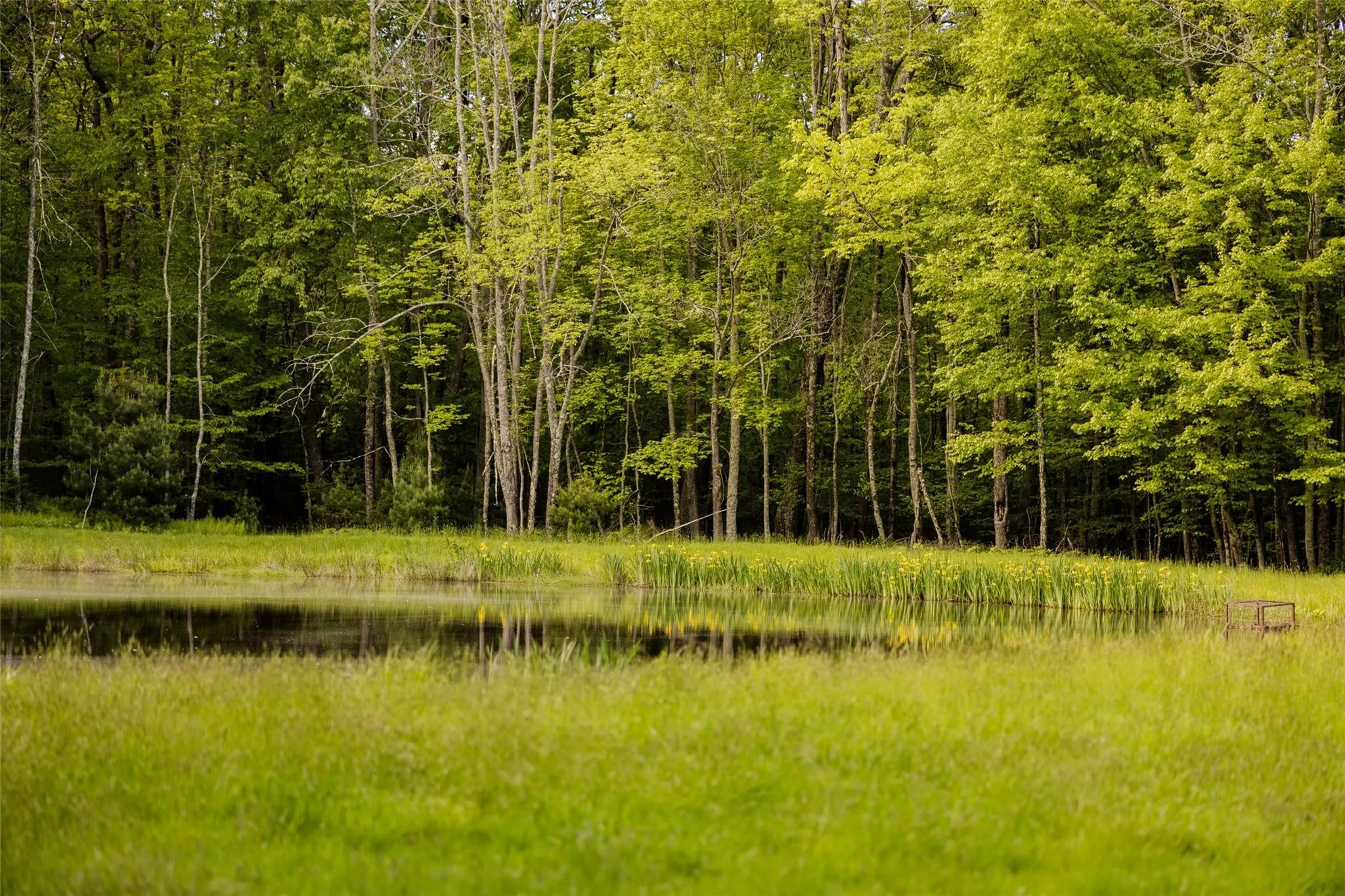 View of tree filled area with a water view View of tree filled area with a water view
