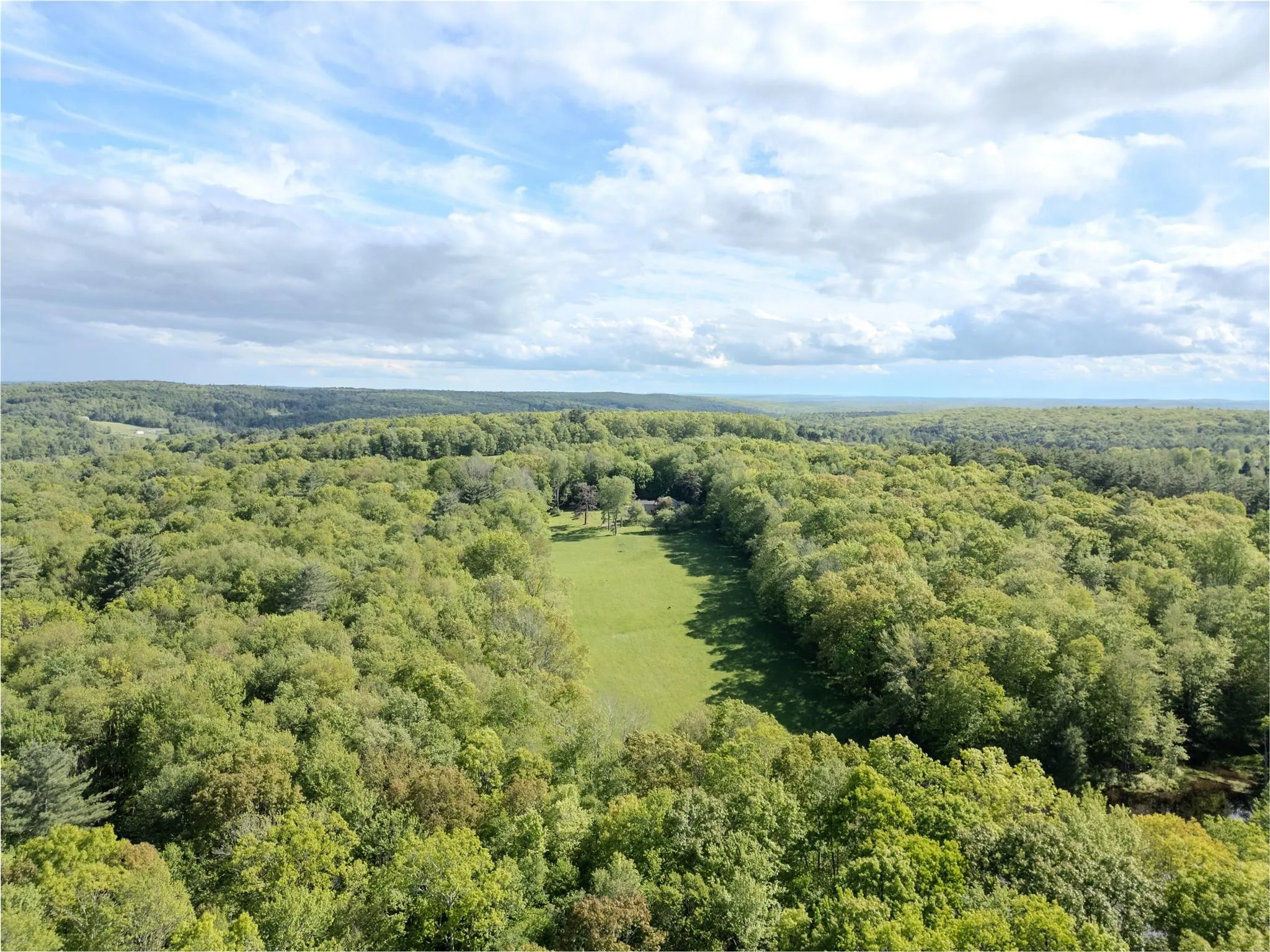 Bird's eye view of a heavily wooded area Bird's eye view of a heavily wooded area