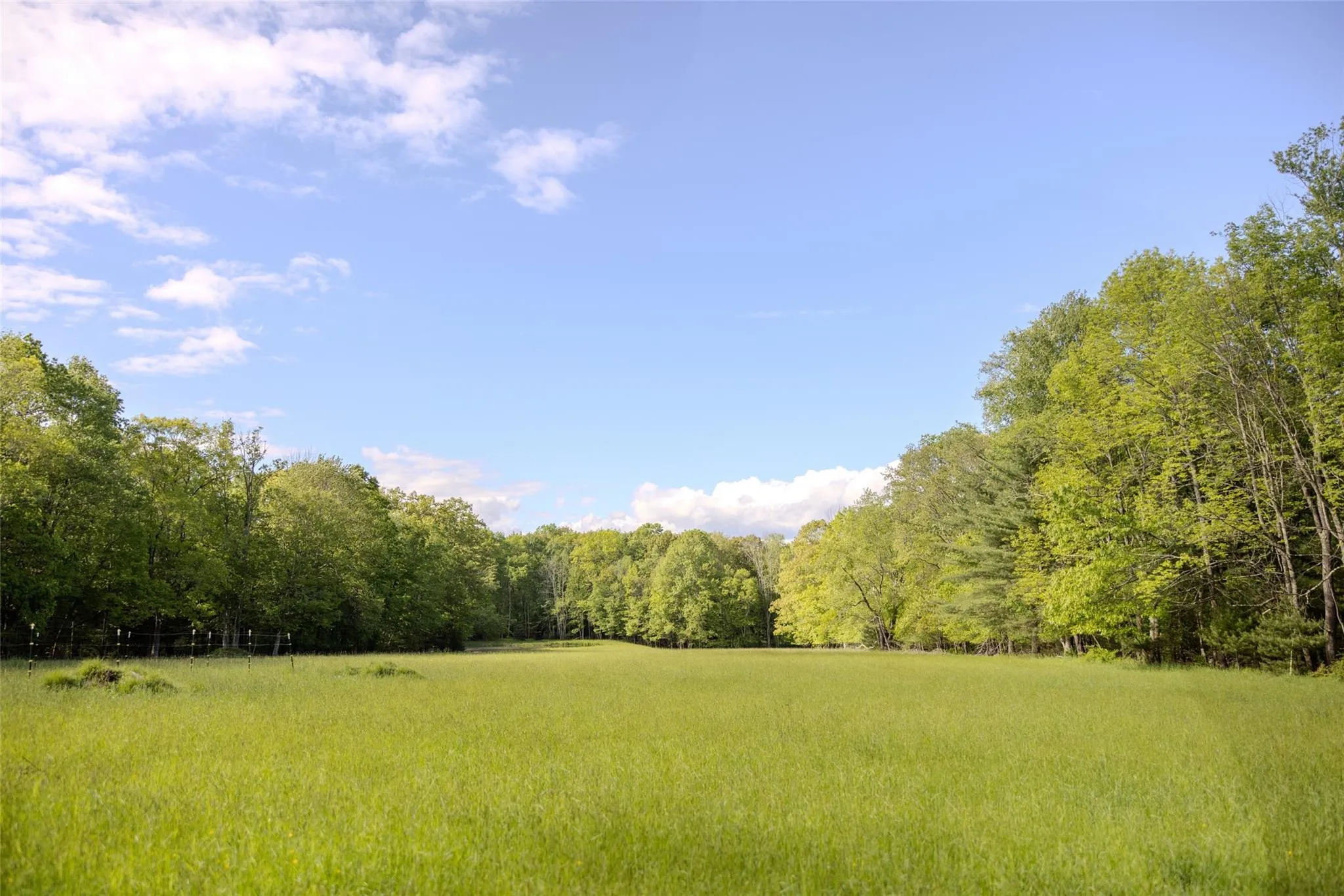 763 County Road 114, Cochecton, NY, 2 Bedrooms Bedrooms, 6 Rooms Rooms,1 BathroomBathrooms,Residential,For Rent,County Road 114,0,872758 763 County Road 114, Cochecton, NY, 2 Bedrooms Bedrooms, 6 Rooms Rooms,1 BathroomBathrooms,Residential,For Rent,County Road 114,0,872758