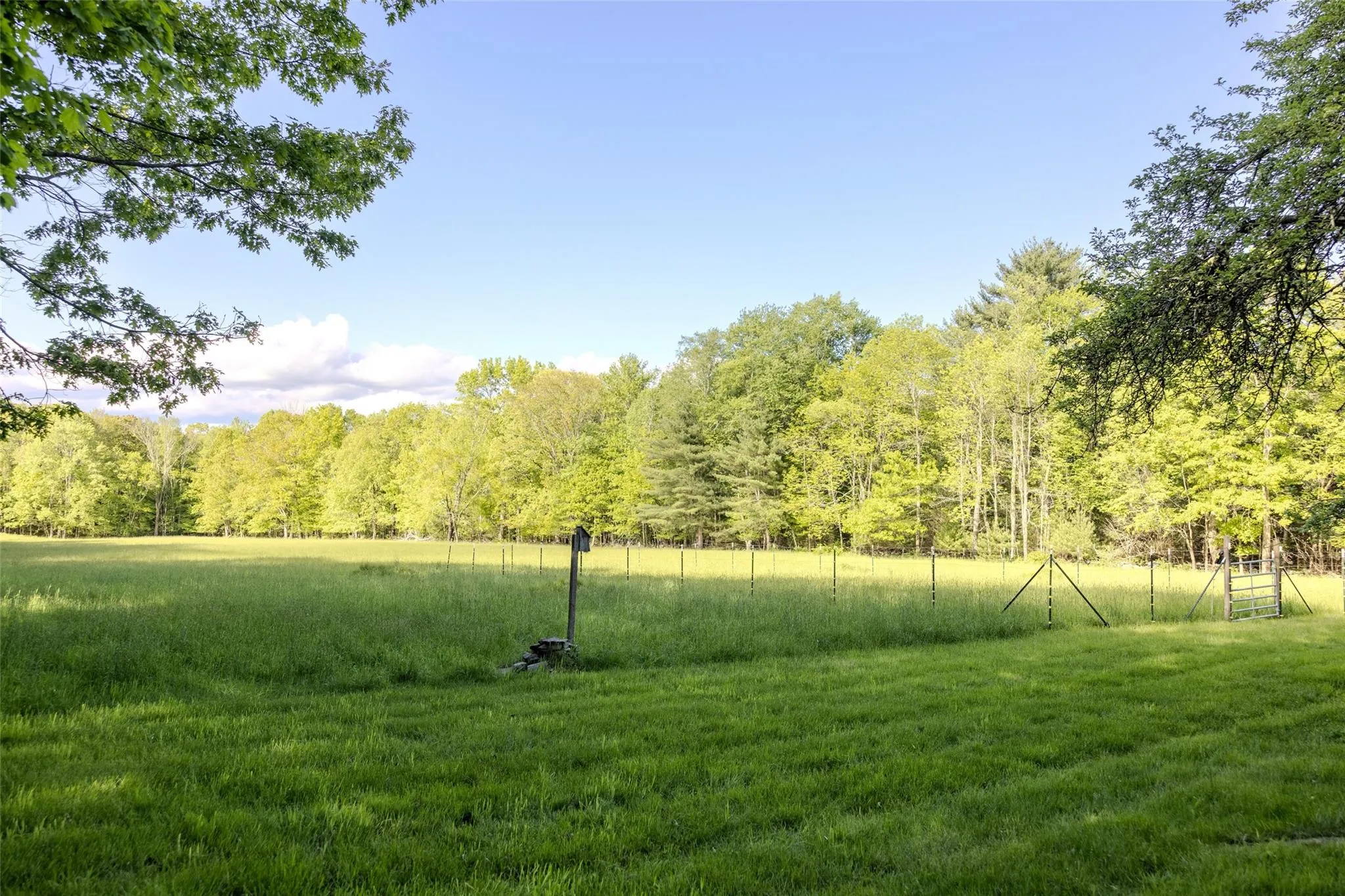View of green lawn with a view of trees View of green lawn with a view of trees