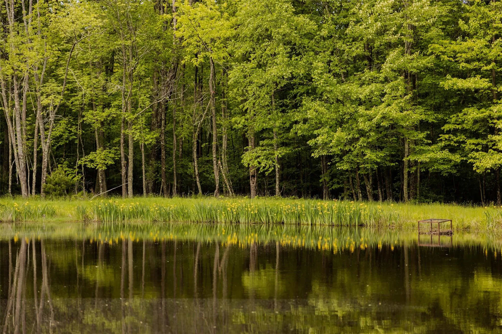 View of wooded area featuring a water view View of wooded area featuring a water view