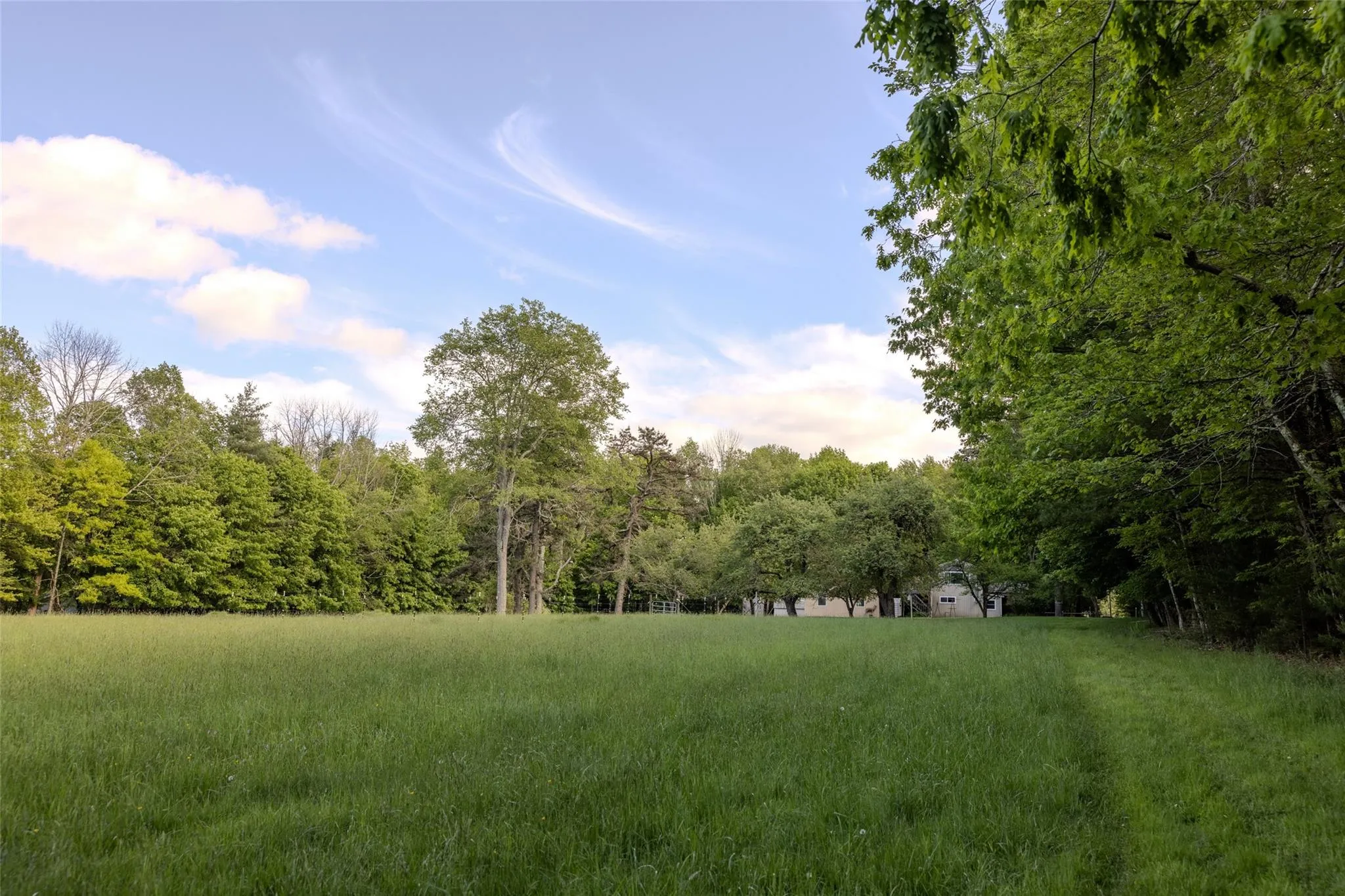 View of yard featuring a forest view View of yard featuring a forest view