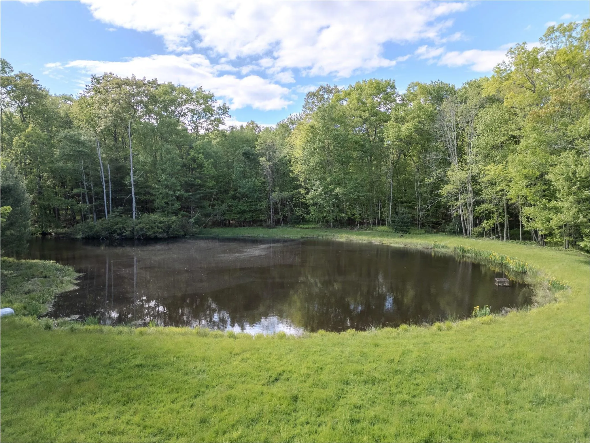 Water view with a heavily wooded area Water view with a heavily wooded area