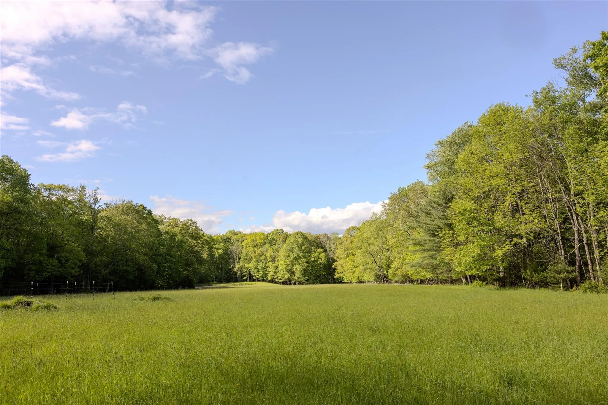 View of yard featuring a wooded view View of yard featuring a wooded view
