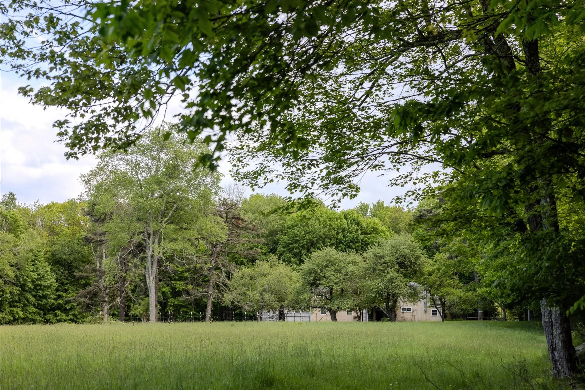 View of yard with a view of trees View of yard with a view of trees