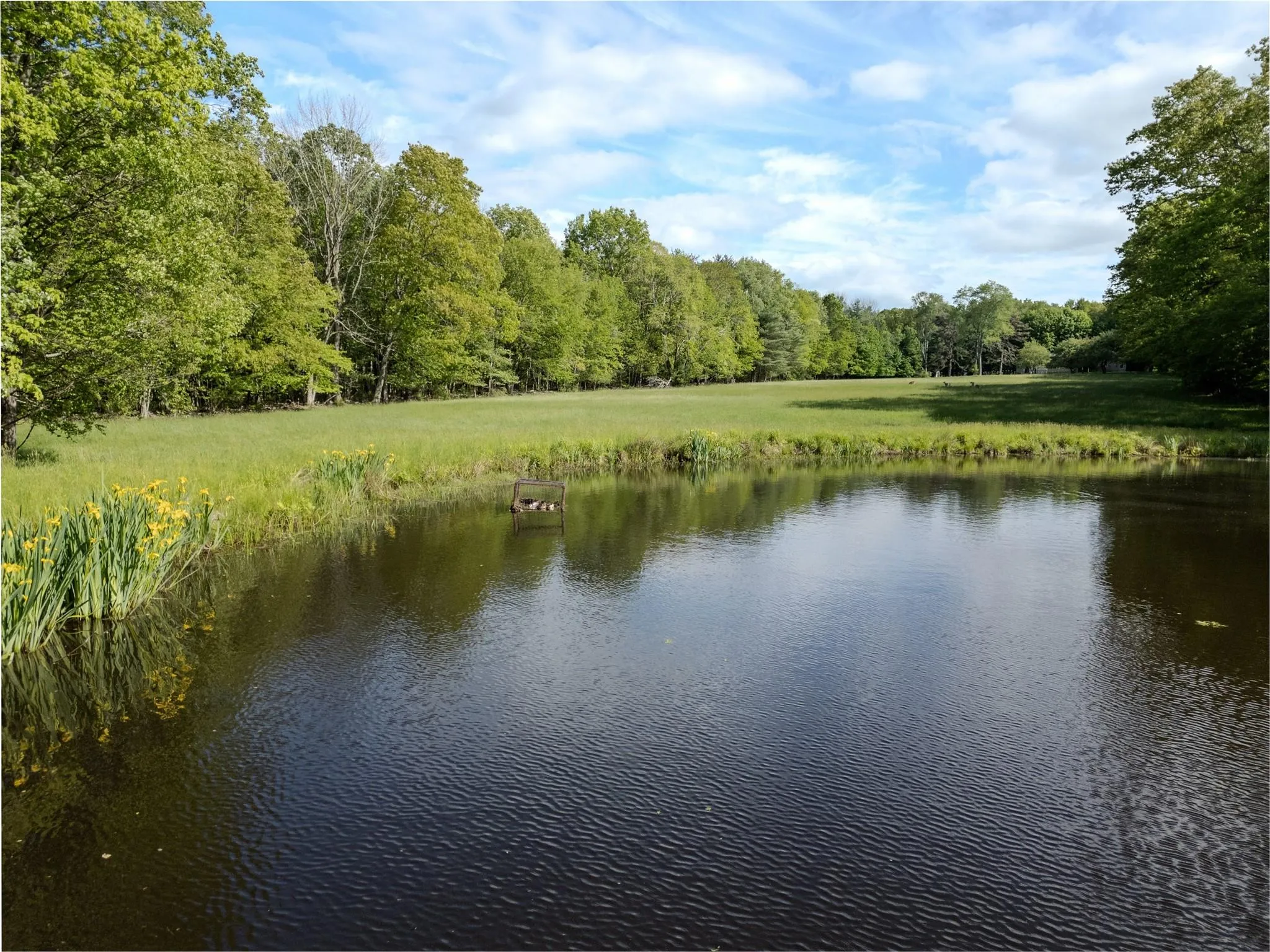 Water view featuring a forest Water view featuring a forest