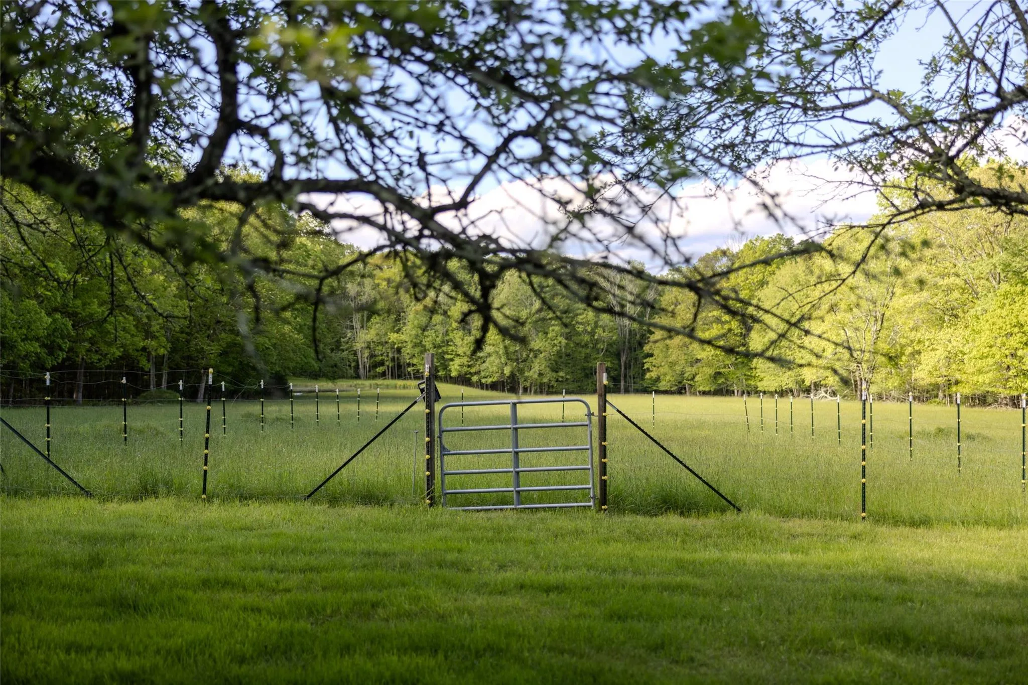 View of yard with a gate and a wooded view View of yard with a gate and a wooded view
