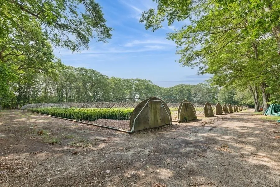 View of yard with a view of trees View of yard with a view of trees