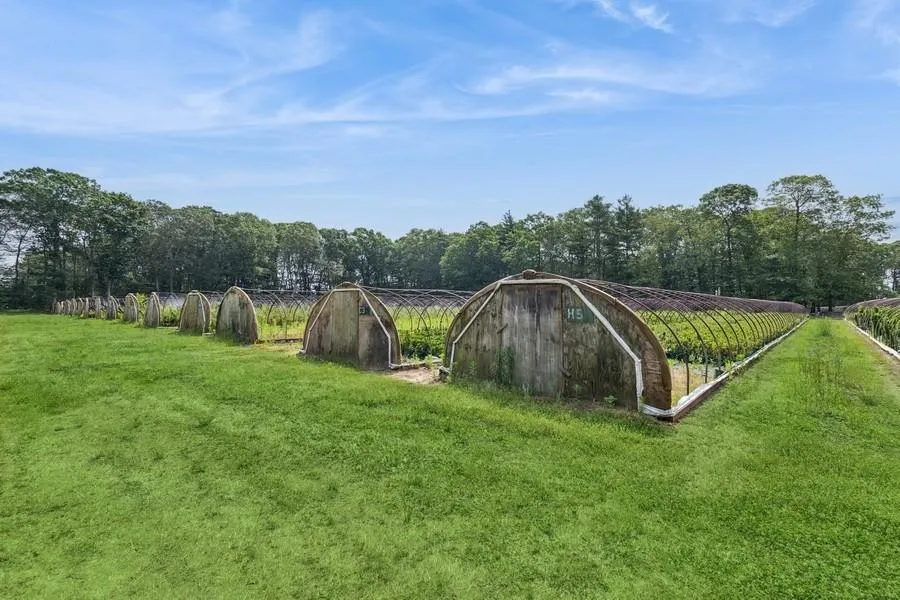 View of green lawn View of green lawn