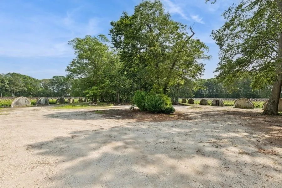 View of yard View of yard