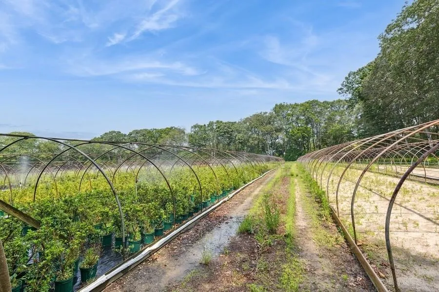 View of yard View of yard