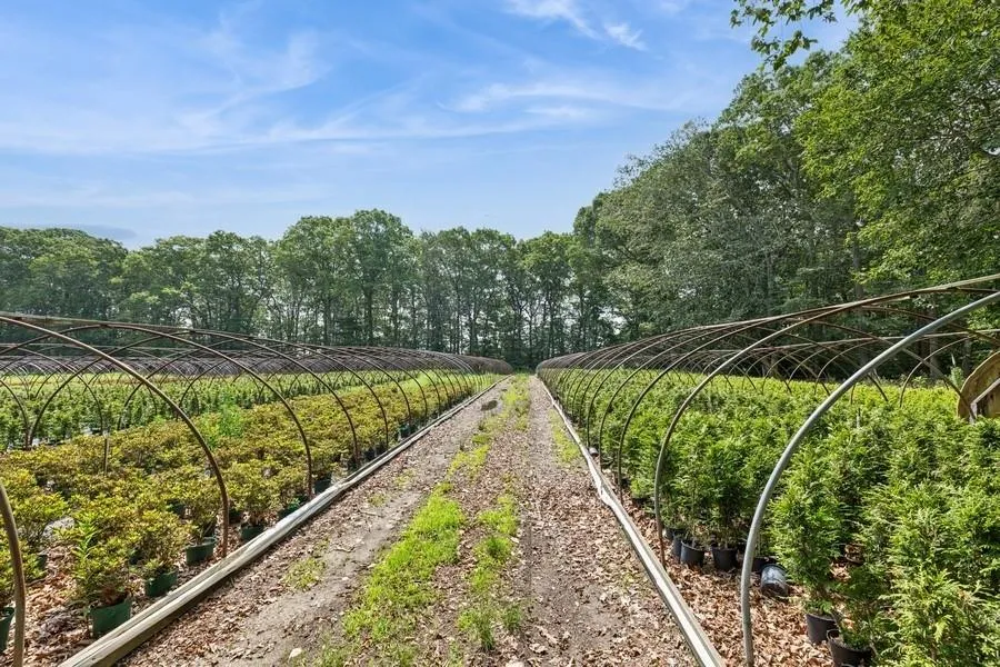 View of yard with a vegetable garden View of yard with a vegetable garden