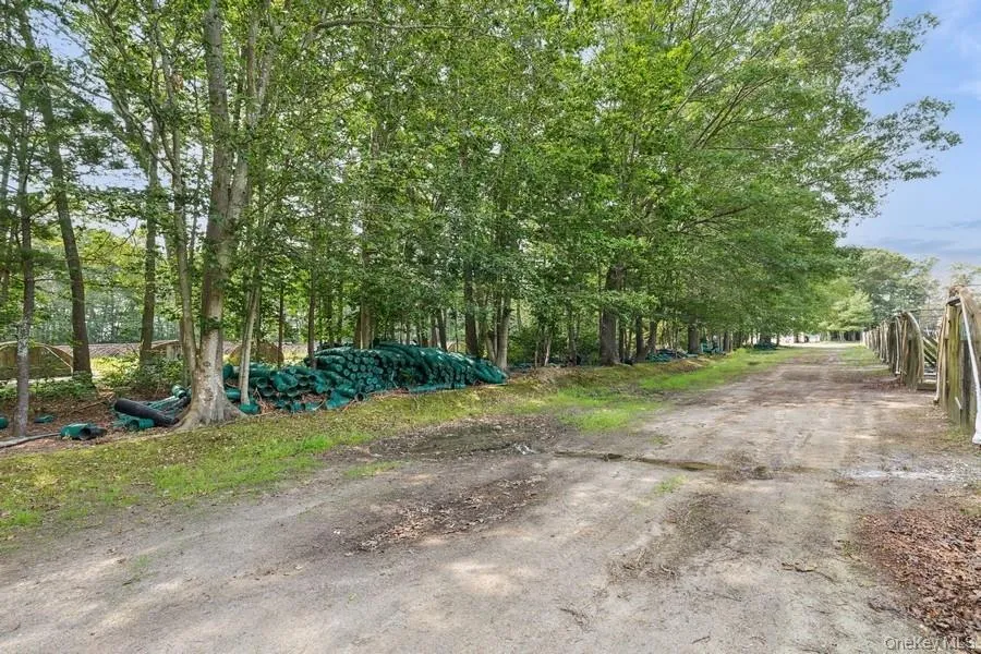 View of dirt / gravel road View of dirt / gravel road