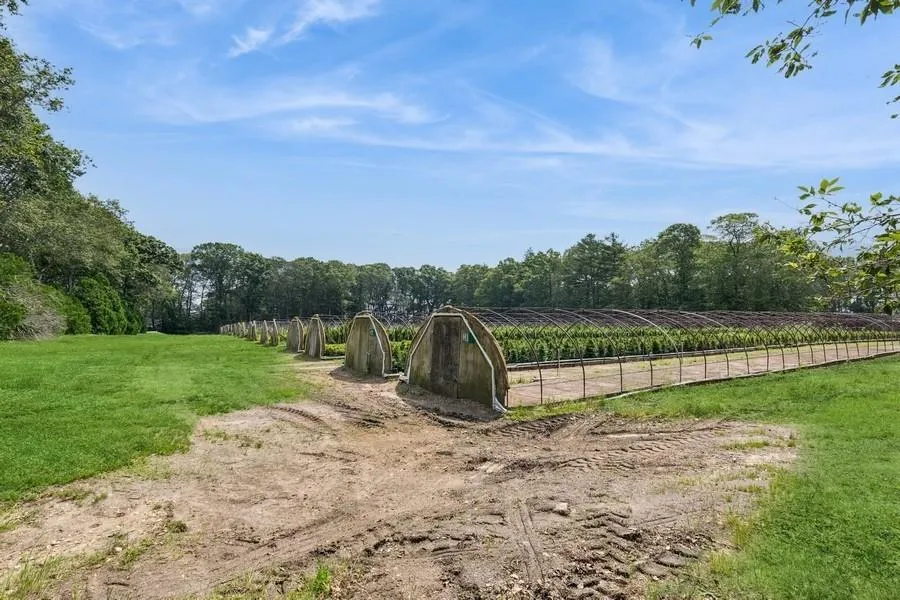 View of yard with a rural view View of yard with a rural view