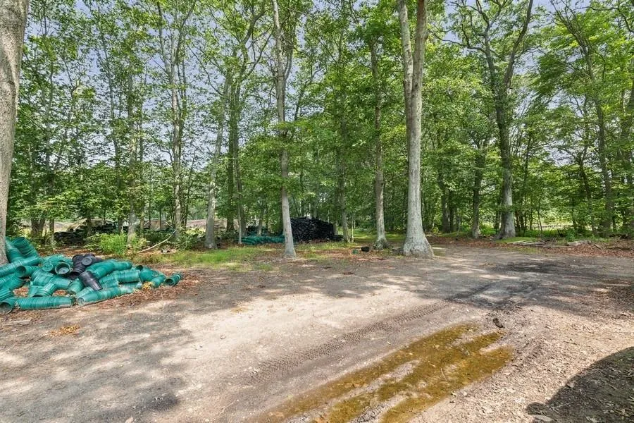 View of yard View of yard