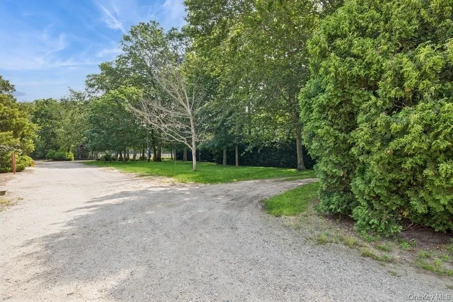 View of dirt / gravel road featuring a wooded view View of dirt / gravel road featuring a wooded view