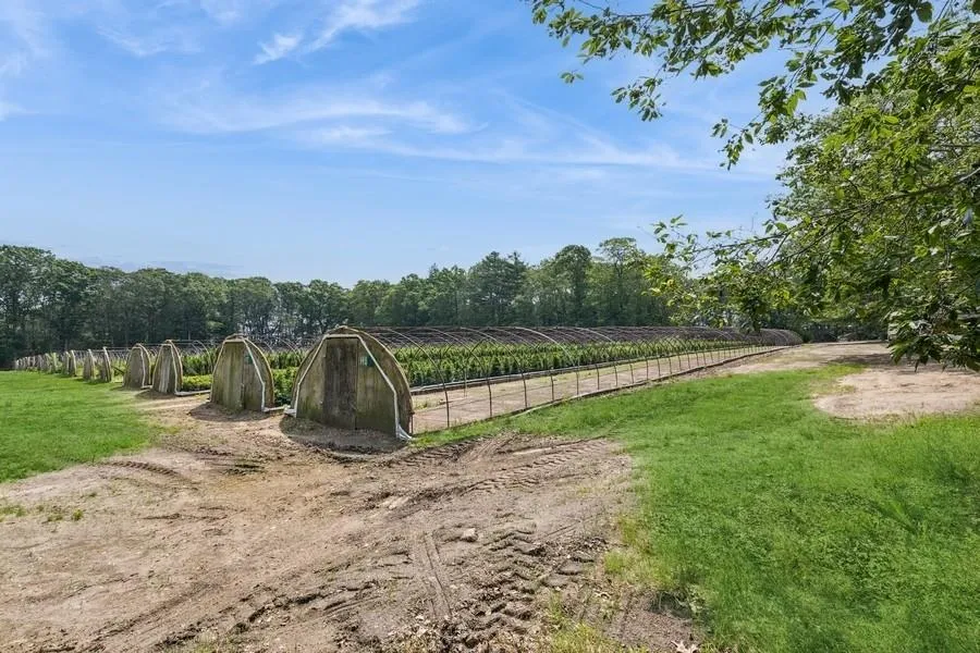 View of yard with a rural view View of yard with a rural view