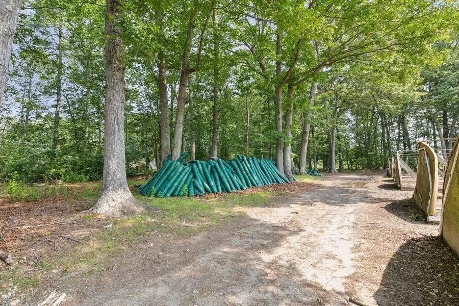 View of yard View of yard