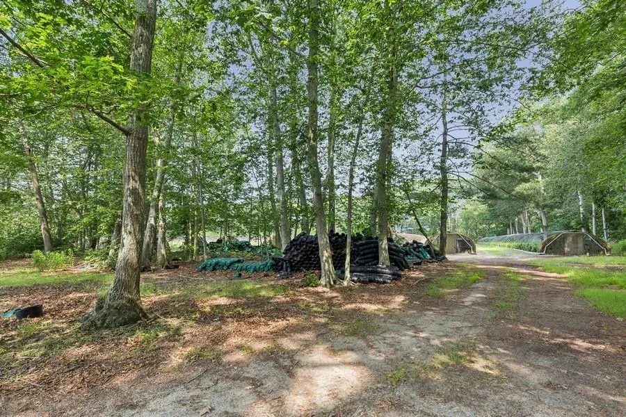 View of yard View of yard