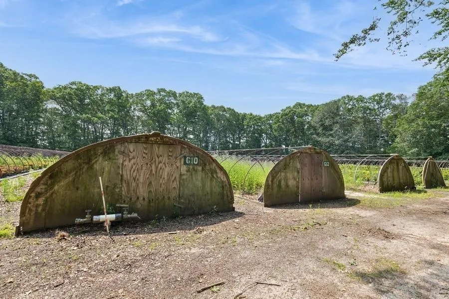 View of yard View of yard