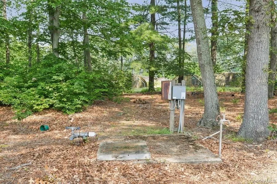 View of yard View of yard