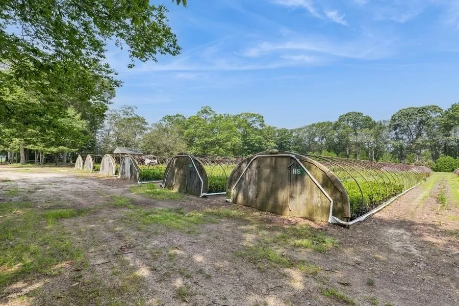 View of yard View of yard