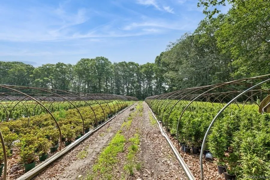 View of yard with a vegetable garden View of yard with a vegetable garden