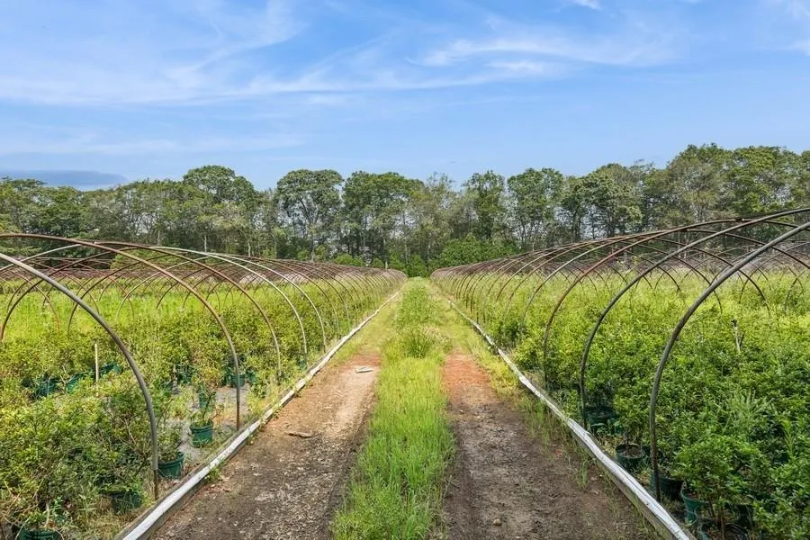 View of yard with a garden View of yard with a garden