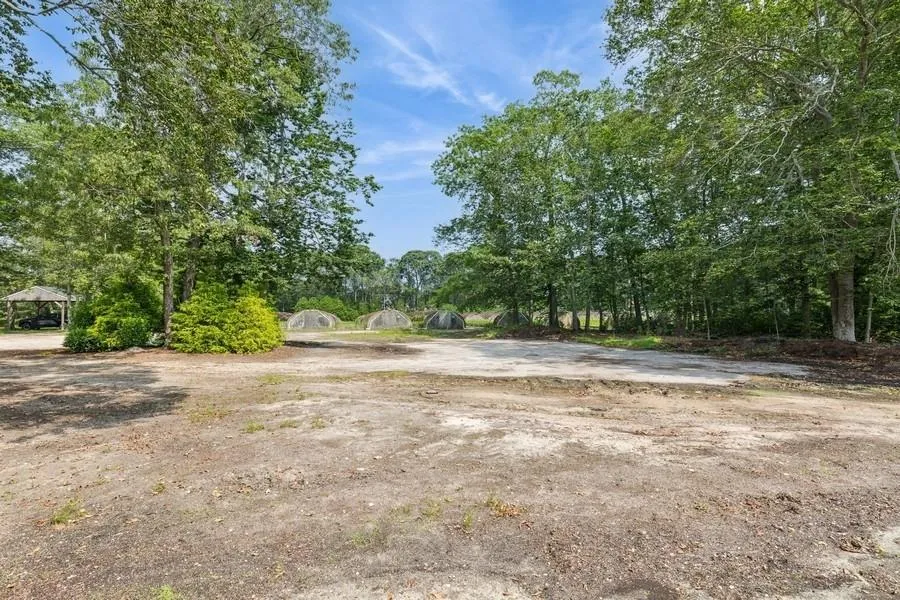 View of yard View of yard