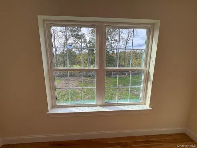 Detailed view of baseboards and wood finished floors Detailed view of baseboards and wood finished floors