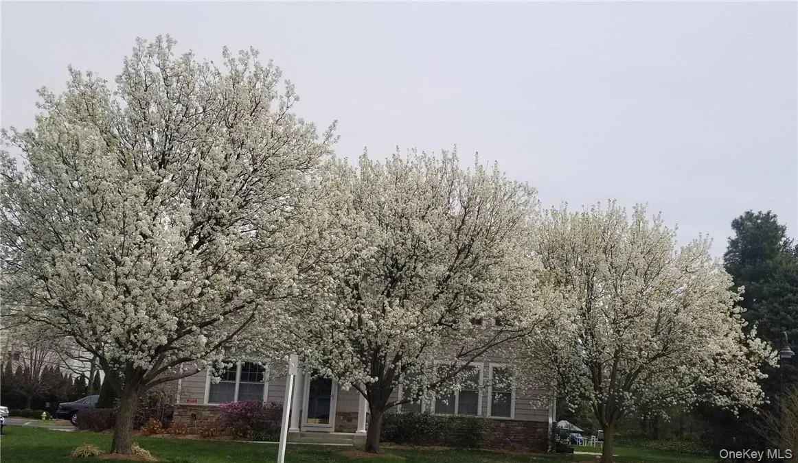 1200 Half Moon Bay Drive, Cortlandt, NY, 4 Bedrooms Bedrooms, 7 Rooms Rooms,4 BathroomsBathrooms,Residential Lease,Idx,Half Moon Bay,0,873366 1200 Half Moon Bay Drive, Cortlandt, NY, 4 Bedrooms Bedrooms, 7 Rooms Rooms,4 BathroomsBathrooms,Residential Lease,Idx,Half Moon Bay,0,873366