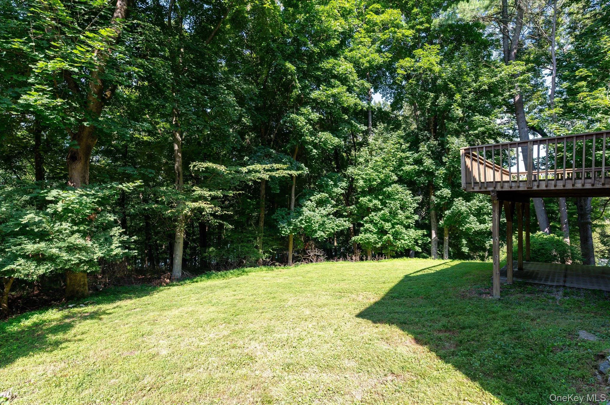 Backyard Backyard