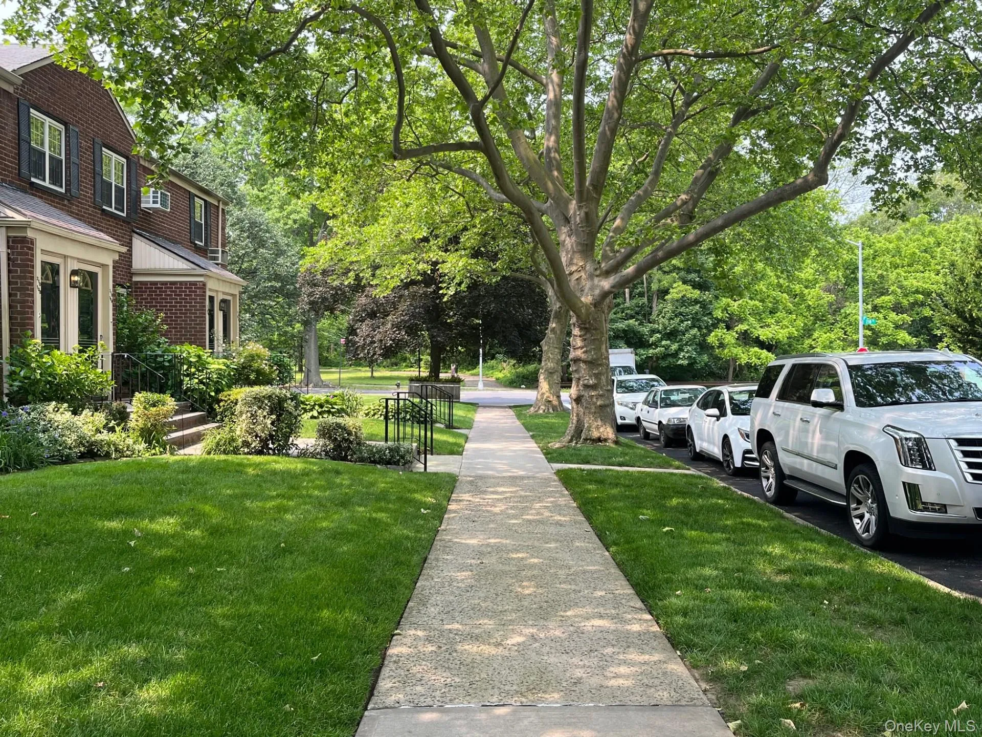 Tree lined street 1/2 block to Cunningham Park Tree lined street 1/2 block to Cunningham Park