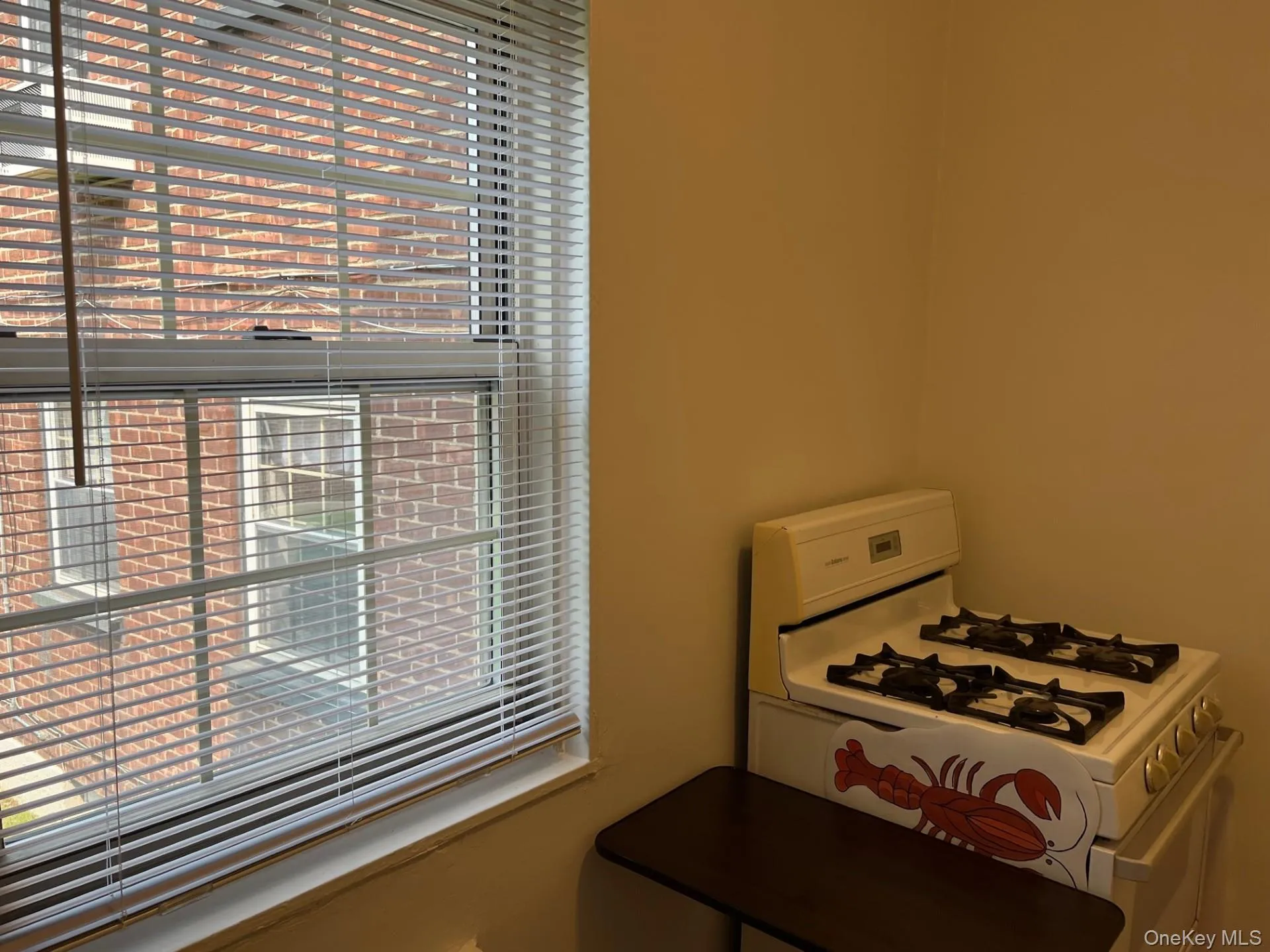 Kitchen window and gas range Kitchen window and gas range