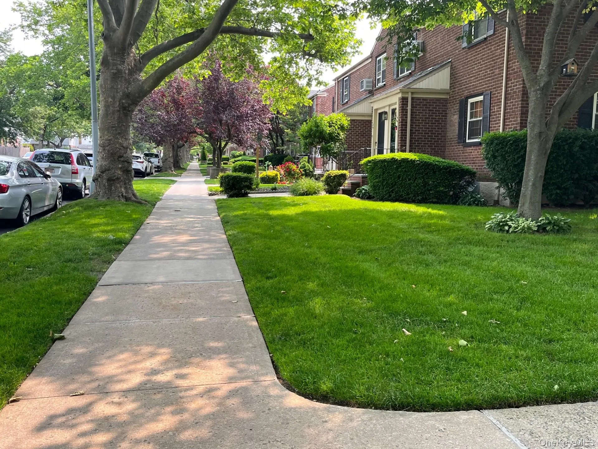 Tree lined street Tree lined street