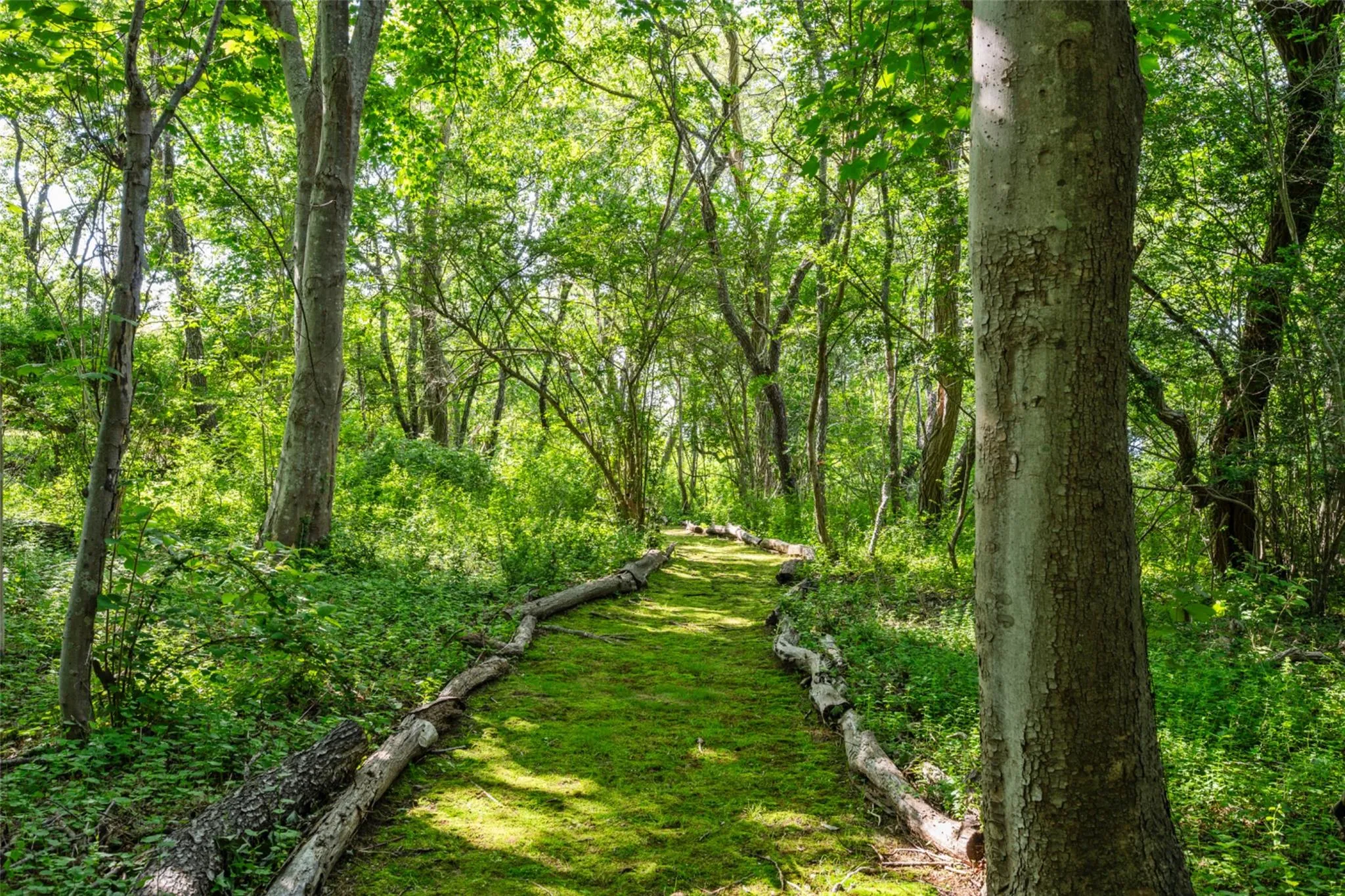 63615 North Road, Southold, NY, 3 Bedrooms Bedrooms, 7 Rooms Rooms,4 BathroomsBathrooms,Residential Lease,Idx,North,873751 63615 North Road, Southold, NY, 3 Bedrooms Bedrooms, 7 Rooms Rooms,4 BathroomsBathrooms,Residential Lease,Idx,North,873751