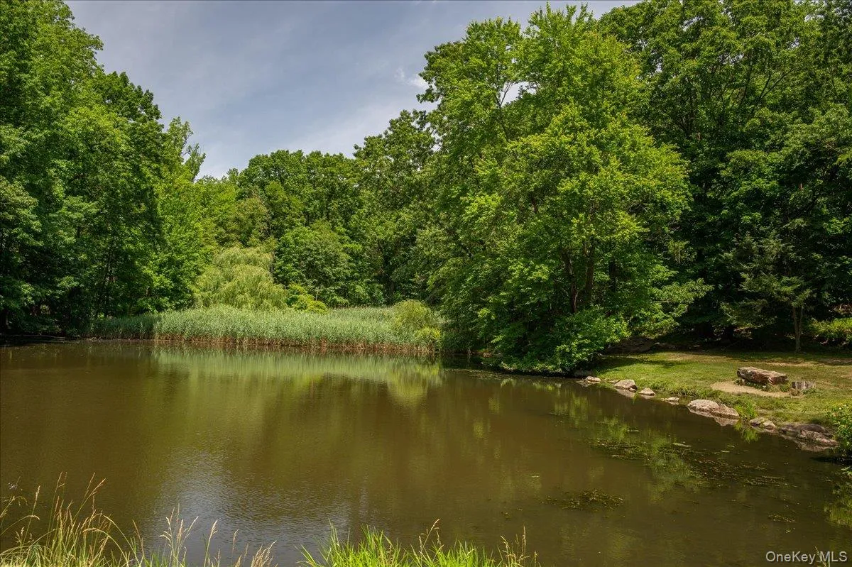 Sugar Pond in Hillside Woods Sugar Pond in Hillside Woods