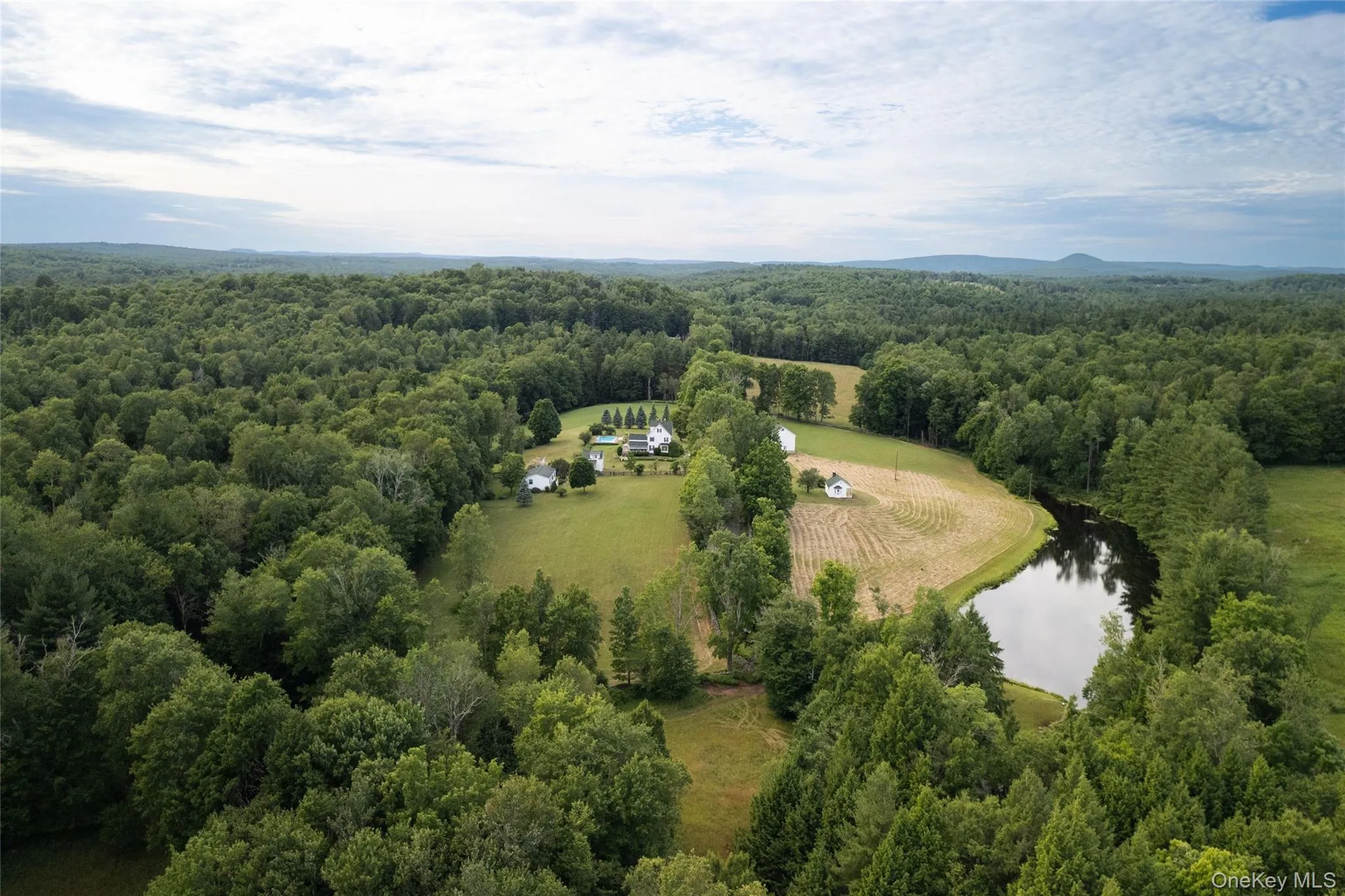Aerial view of a forest and a nearby body of water Aerial view of a forest and a nearby body of water