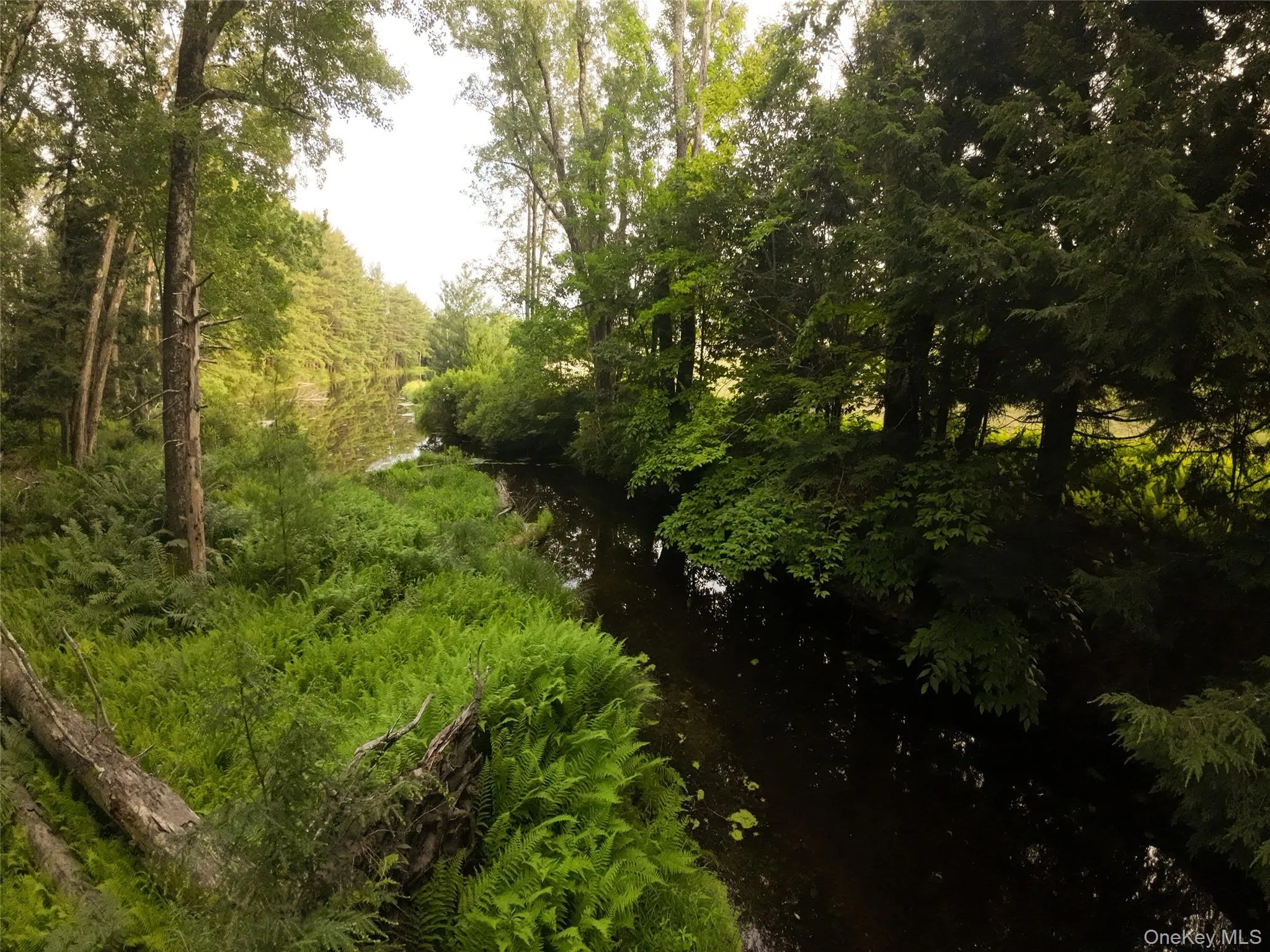 49 Crumley Van Vactor Road, Bethel, NY, 7 Bedrooms Bedrooms, 16 Rooms Rooms,3 BathroomsBathrooms,Residential,For Rent,Crumley Van Vactor,0,874421 49 Crumley Van Vactor Road, Bethel, NY, 7 Bedrooms Bedrooms, 16 Rooms Rooms,3 BathroomsBathrooms,Residential,For Rent,Crumley Van Vactor,0,874421