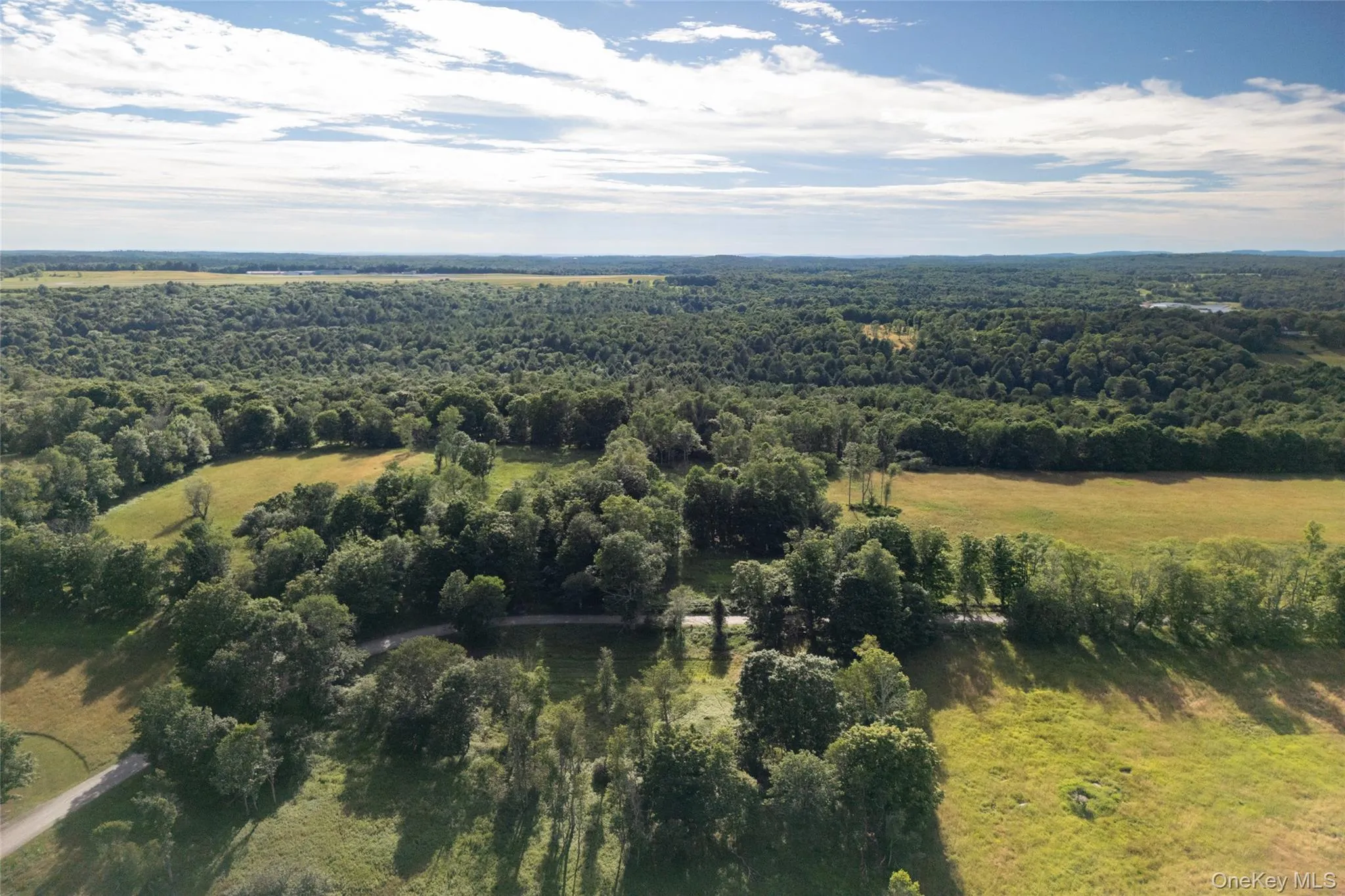 View of property location featuring a forest View of property location featuring a forest