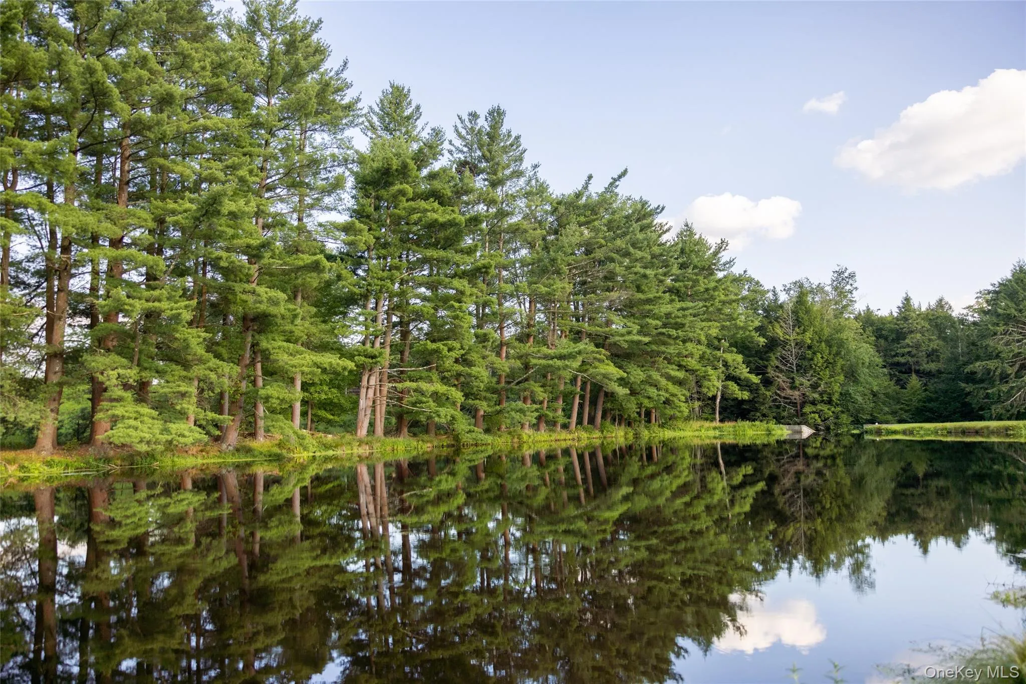 Water view featuring a forest Water view featuring a forest