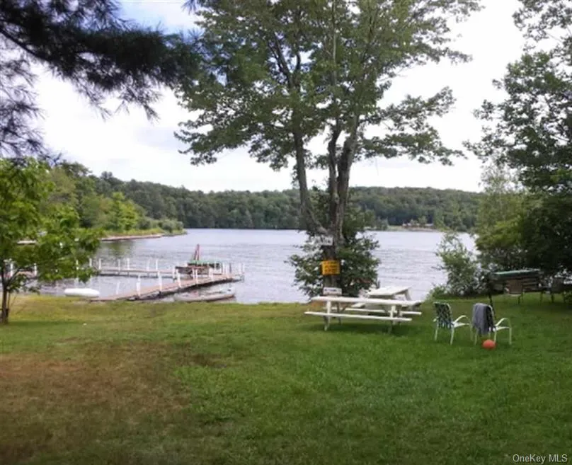 Dock area featuring a view of trees, a water view, and a lawn Dock area featuring a view of trees, a water view, and a lawn