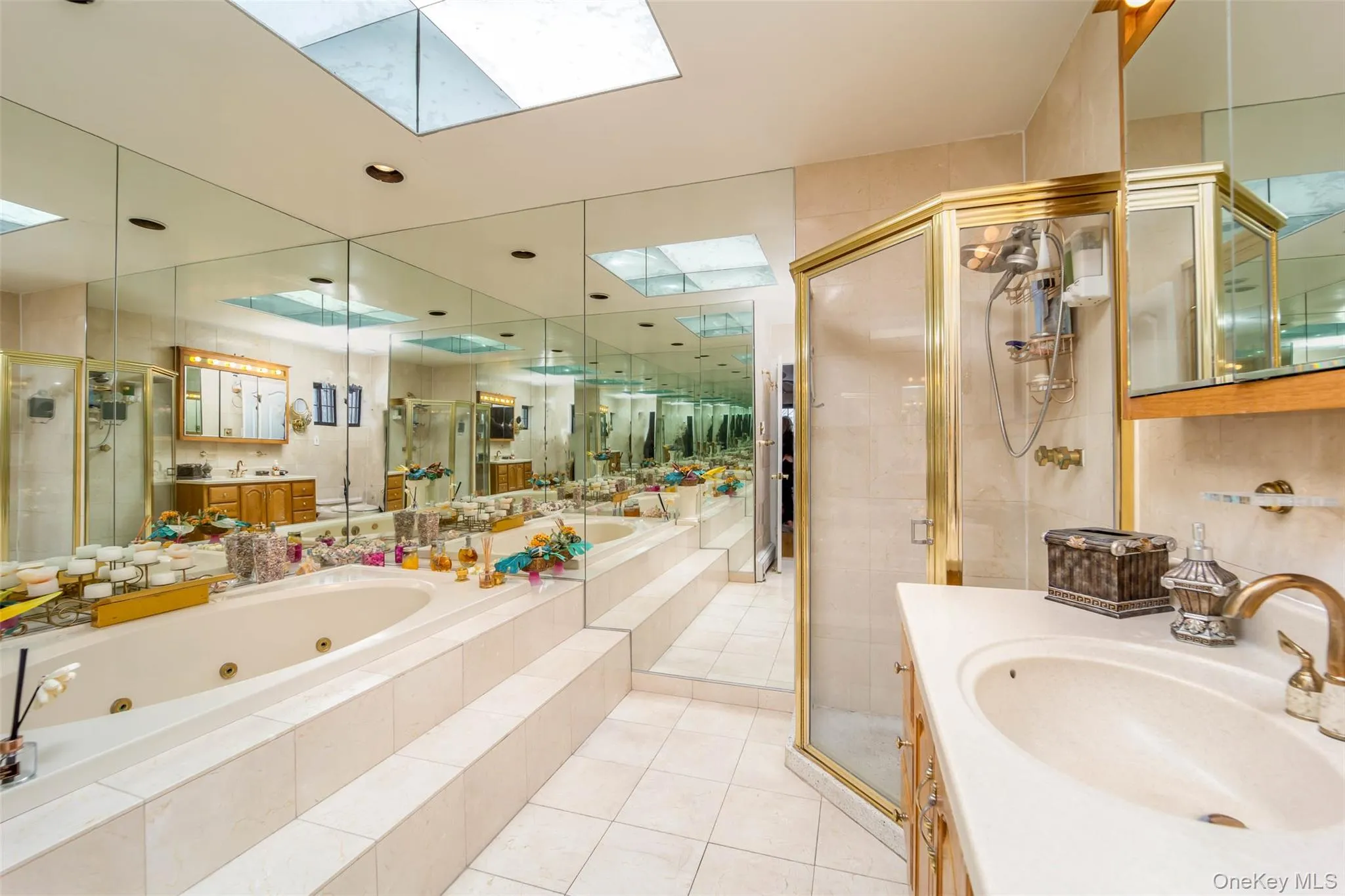 Bathroom featuring a skylight, a jetted tub, a shower stall, and vanity Bathroom featuring a skylight, a jetted tub, a shower stall, and vanity